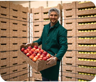 Distributors and Wholesalers