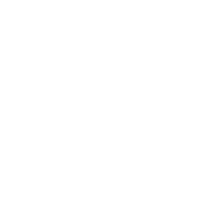 Lightning-fast delivery