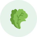 Fresh Vegetables